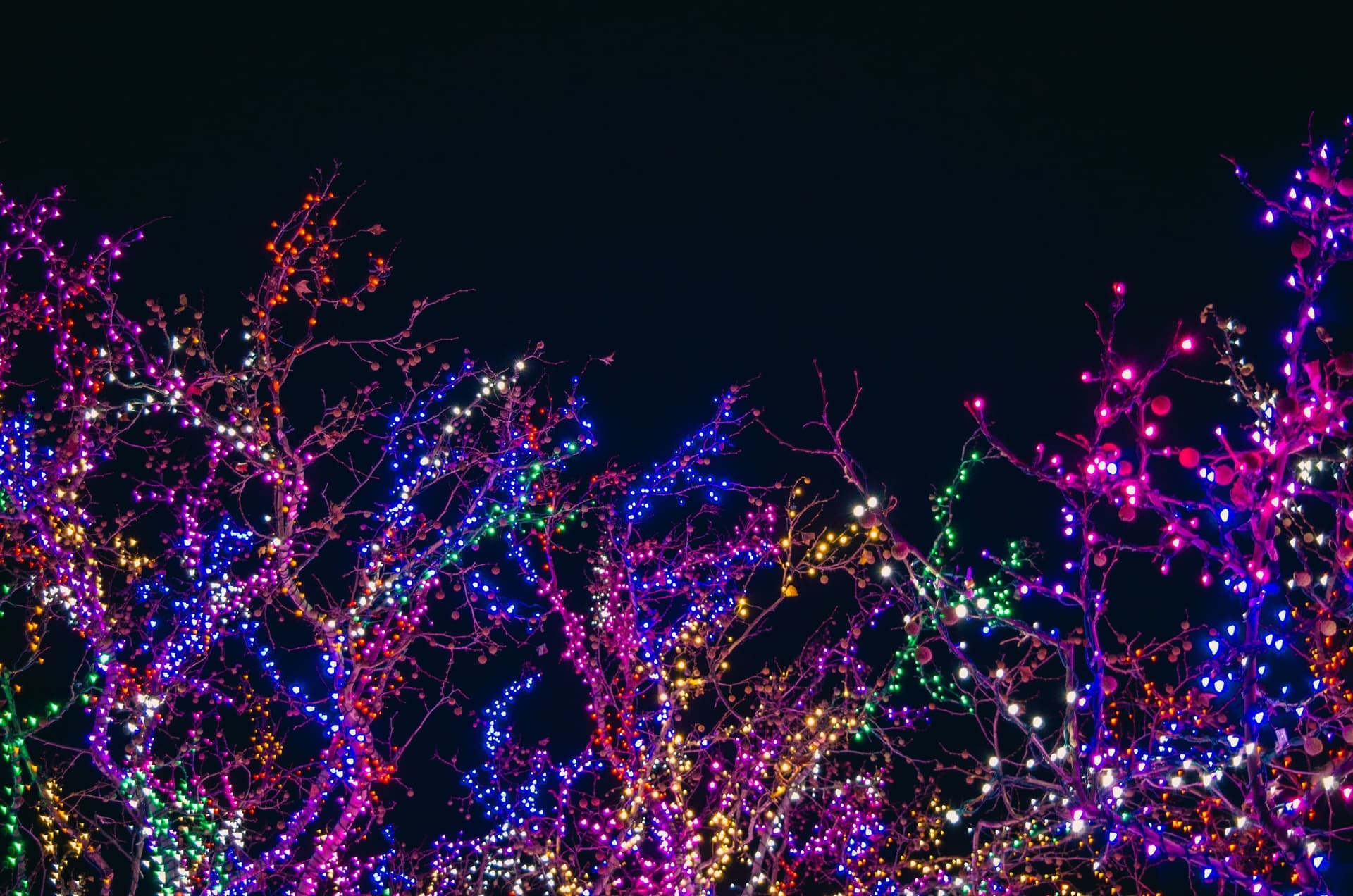 Conceptual design visualization of lit garden trees.